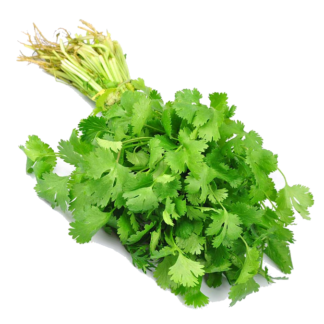 Cilantro