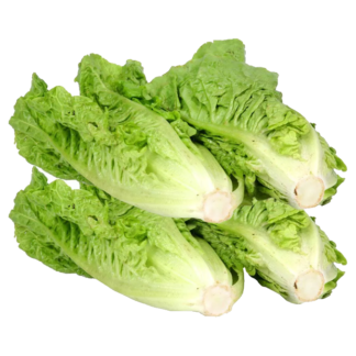 1kg / Lechuga Criolla