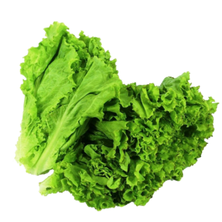 1kg / Lechuga Francesa