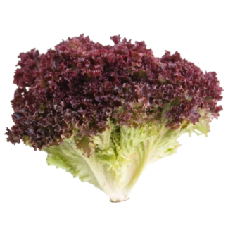 1kg / Lechuga Morada