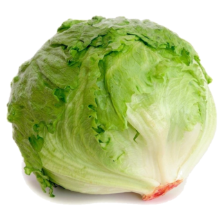 1kg / Lechuga capuchina