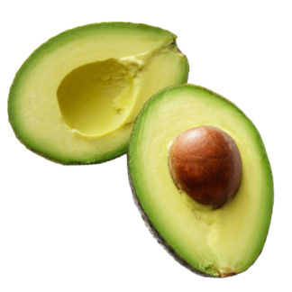 Palta