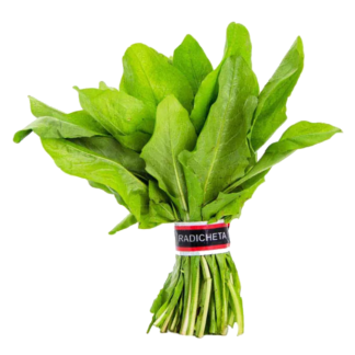 Radicheta