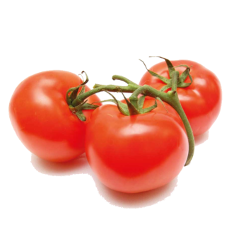 1kg / Tomate redondo