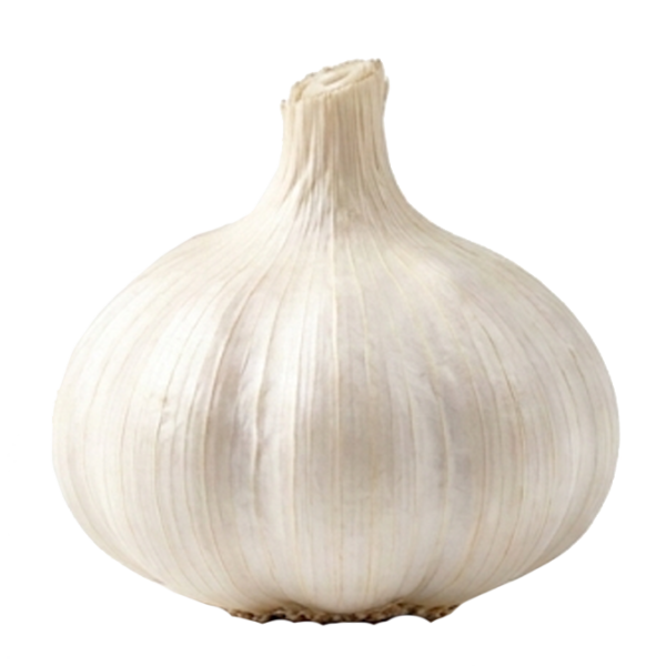 cabeza de ajo