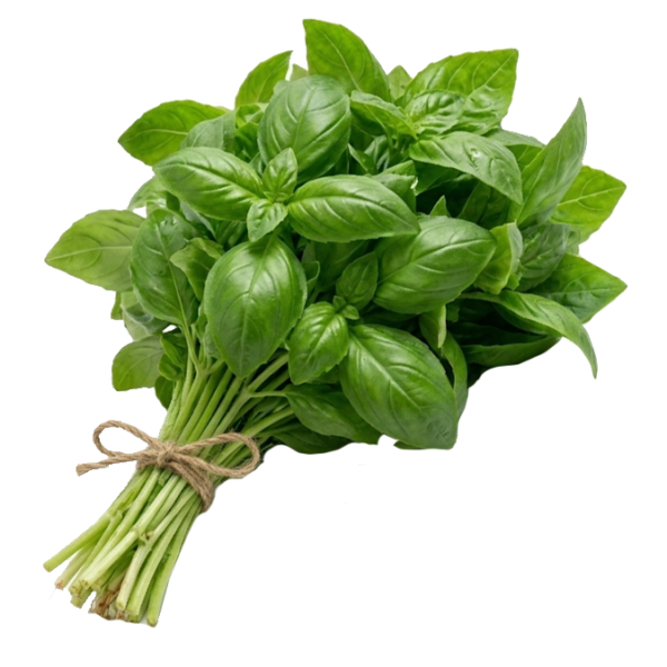 1 Paq. / Albahaca