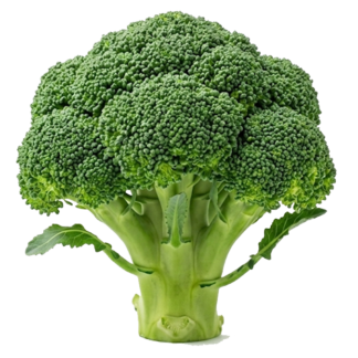 1kg / Brocoli