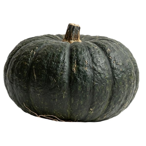 $ 1.600 kg / Zapallo cabutia