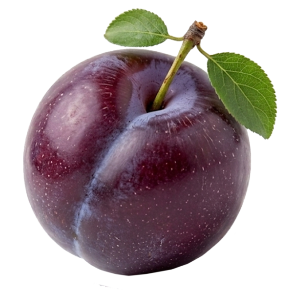 $ 12.000 kg / Ciruela