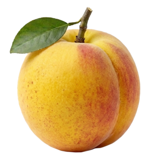 $ 4.000 kg / Durazno Amarillo