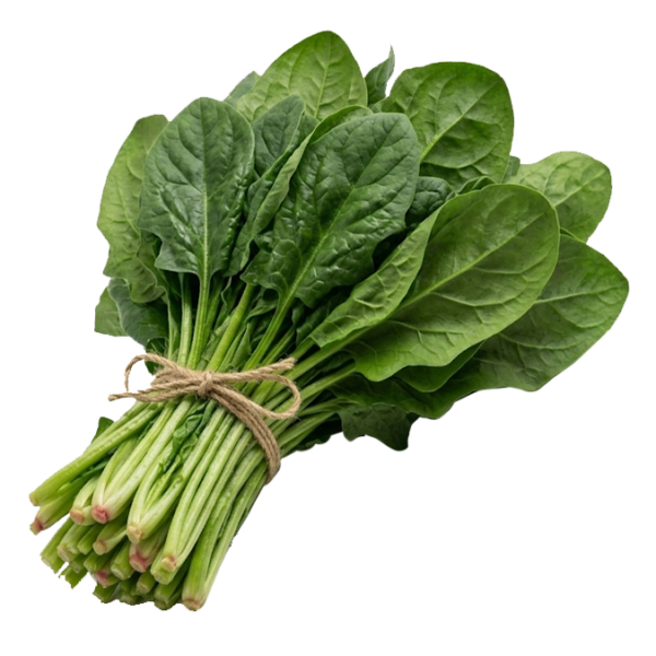 Paquete espinaca
