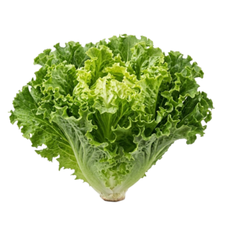 1kg / Lechuga Francesa