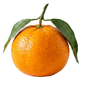$ 1.200 kg / Mandarina Ellendale