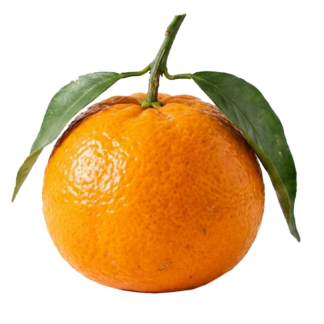 $ 2.000 kg / Mandarina sin Semilla