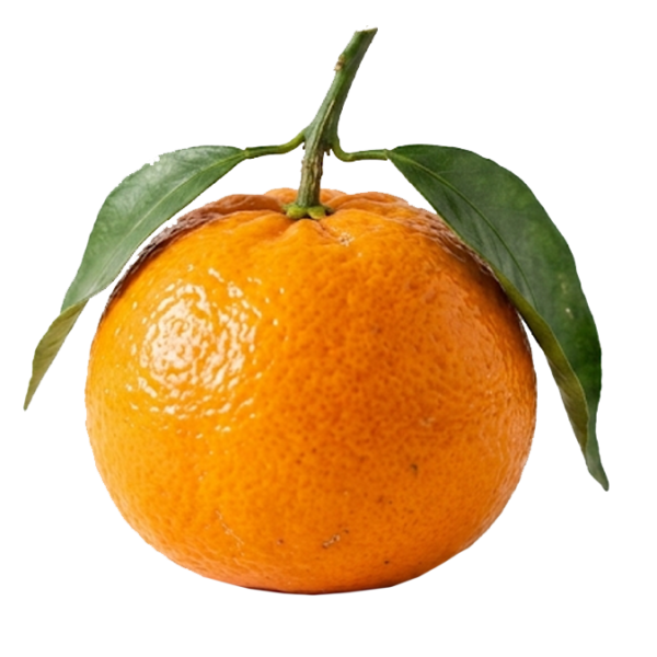 $ 1.200 kg / Mandarina Criolla