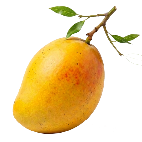 $ 4.500 kg / Mango