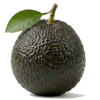 Palta hass