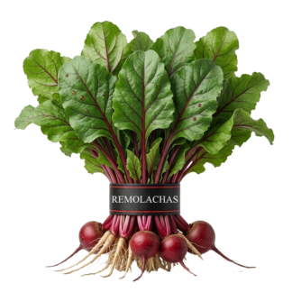 Remolacha