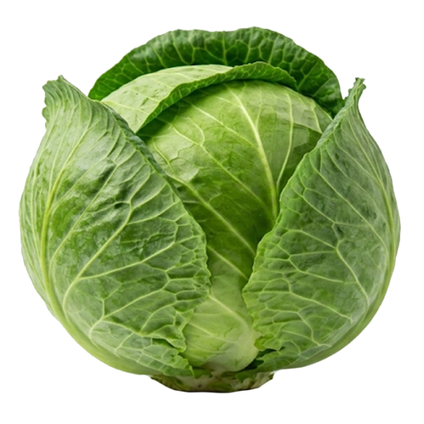 $ 1.600 kg / Repollo blanco