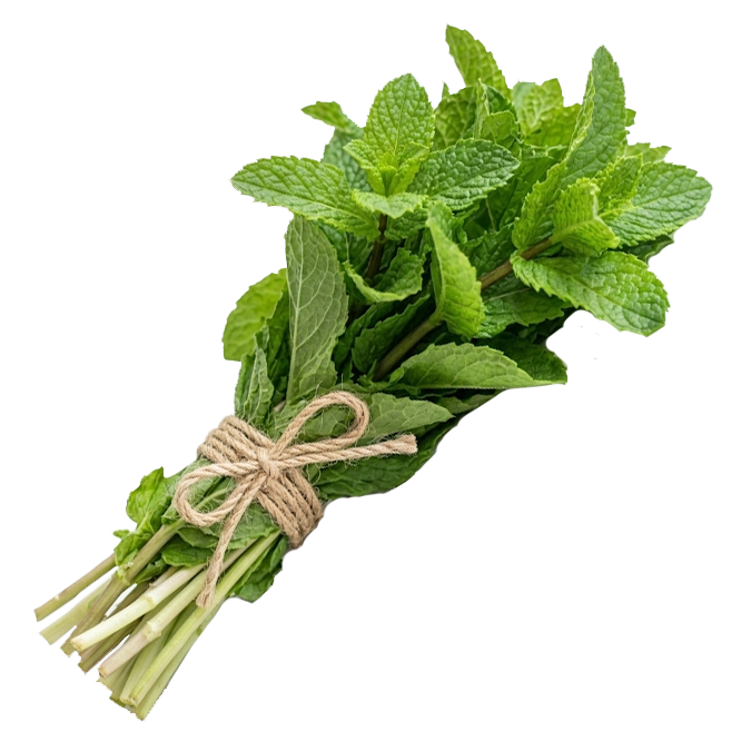 Paquete menta