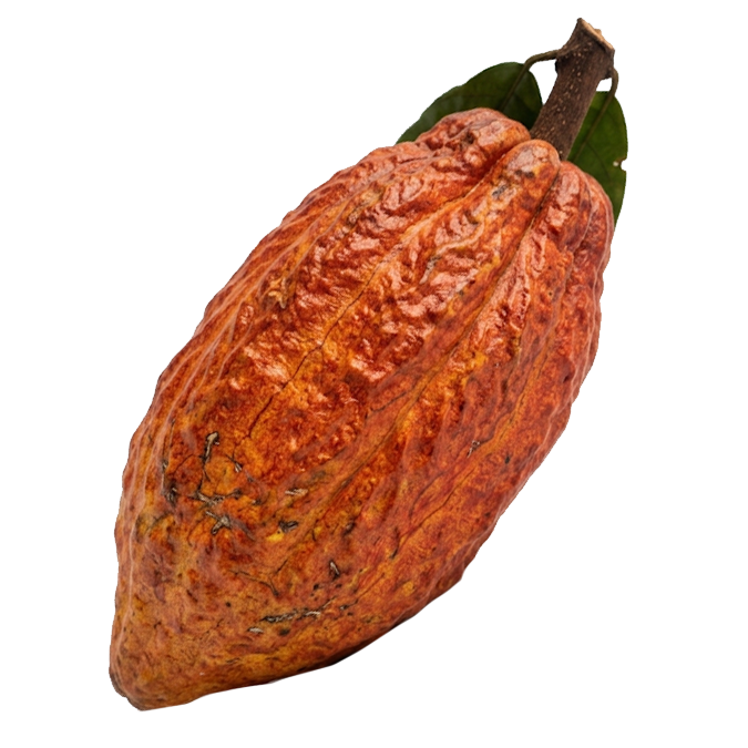$ 4.000 kg / Cacao